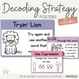 Decoding Reading Strategy Posters | PASTELS | Muted Rainbo