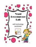 Decomposer Lab with Technology Worksheet - Food Chains & Webs
