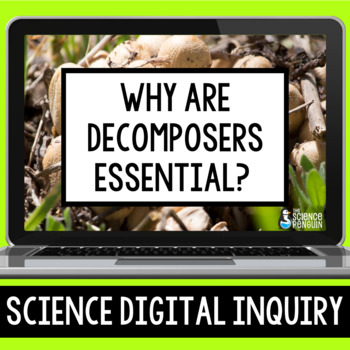 Preview of Decomposers Digital Inquiry Resource | Movement of Matter in Ecosystems