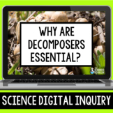 Decomposers Digital Inquiry Resource | Movement of Matter 