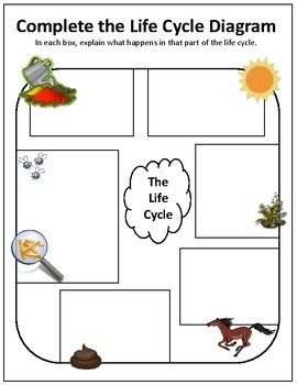 decomposers ecosystems ls2 ngs