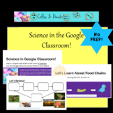 Decomposers: The Food Chain-Google Slides Assignment
