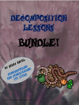 Preview of Decomposition Lesson Plans Bundle