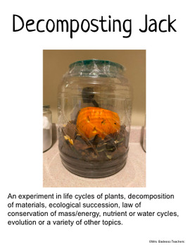 Preview of Decomposting Jack-o-Lantern Experiment