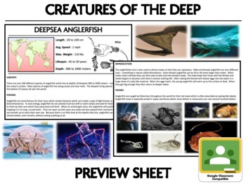 Deep Sea Creatures Teaching Resources | TPT