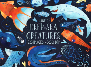 Deep Sea Creatures Information Teaching Resources | TPT