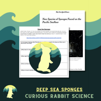 Preview of Deep Sea Sponges - Porifera Reading and Extended Response