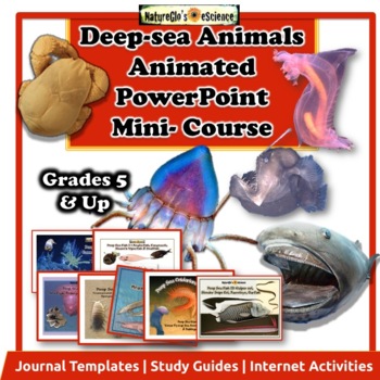 Preview of Deep-sea Ocean Animals PowerPoint Study Guide BUNDLE