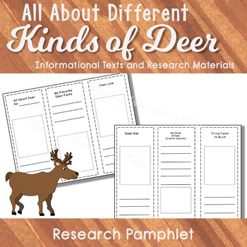 All About Reindeer, Activities and Informational Text | TPT