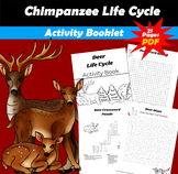 Deer Life Cycle Activity Book PDF