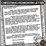Homonym Grammar Activity Christmas Letter