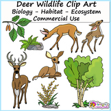 Deer Clip Art and Biology Clip Art (Wildlife Art for Biome