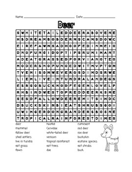 Deer Word Search by Learning is Lots of Fun | TPT