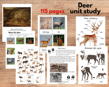 Preview of Deer unit study, Deer anatomy, Reindeer life cycle, Art, Poetry study