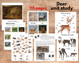 Deer unit study, Deer anatomy, Reindeer life cycle, Art, P