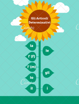Preview of Definite & Indefinite Article Worksheets, Notes, & Infographics (Italian)