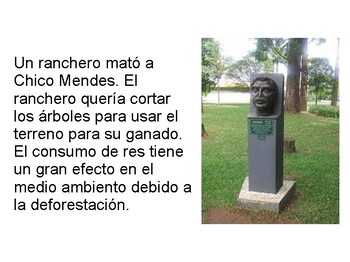 Who are we?  Memorial Chico Mendes