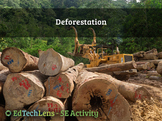 Deforestation - Impacts of Deforestation on Ecosystems - C