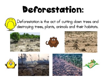 Preview of Deforestation Vocabulary Card