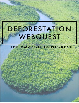 Preview of Deforestation WebQuest - Environmental Science