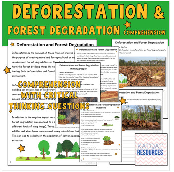 Preview of Deforestation and Forest Degradation - Comprehension Skills