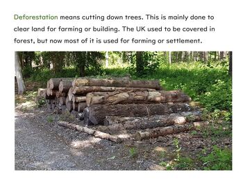 Deforestation and Land Use GCSE Biology by Troilo Science | TPT