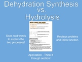 Dehydration Synthesis vs. Hydrolysis