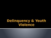 Delinquency and Youth Violence