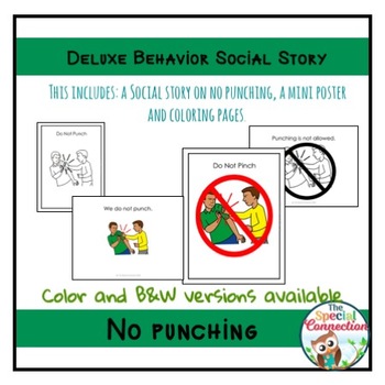 Deluxe Behavior Social Story: No Punching