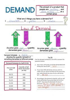 Demand Curve Doodle Notes and Review Worksheet by Caravel Curriculum