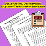 Dental Anatomy: Development and Eruption of Teeth Question Bank