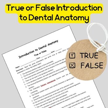 Preview of Dental Anatomy: Introduction to Dental Anatomy True and False Editable File