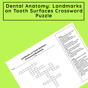 Preview of Dental Anatomy: Landmarks on Tooth Surface Crossword Puzzle