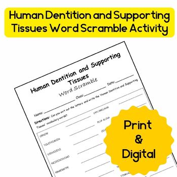 Preview of Dental Anatomy Terminology: Human Dentition and Supporting Tissues Word Scramble
