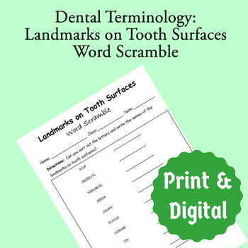 Preview of Dental Anatomy Terminology: Landmarks on Surfaces of Teeth Word Scramble