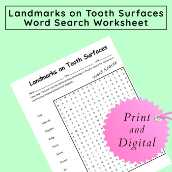 Preview of Dental Anatomy Terms: Anatomical Landmarks on Surfaces of Teeth Word Search