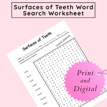 Preview of Dental Anatomy Terms: Surfaces of Teeth Word Search Worksheet