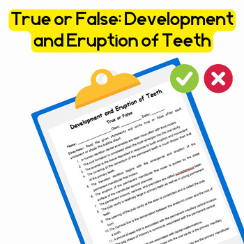 Preview of Dental Anatomy True or False: Development and Eruption of Teeth Editable File