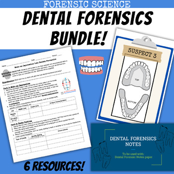 Preview of *BUNDLE* Dental Forensic Science Activities