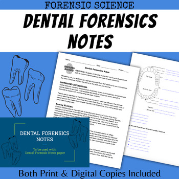 Preview of Dental Forensics Background Notes Physical Evidence