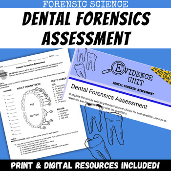 Preview of Dental Forensics Bite Mark Assessment