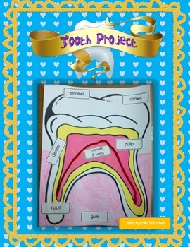 Preview of Dental Health - Labeling Parts of a Tooth