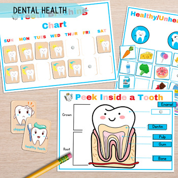 Preview of Dental Health Printable Activity For Kids, Tooth Anatomy Toddler Tooth Education