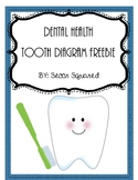 Dental Health Tooth Diagram Freebie