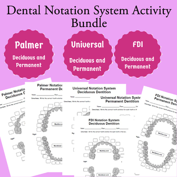 Preview of Dental Notation System Activity Bundle