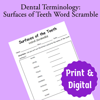 Preview of Dental Terminology: Surfaces of Teeth Word Scramble Game