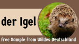Der Igel, Sample short nonfiction story about hedgehogs in German