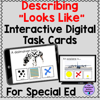Preview of Describe By Feature Looks Like Digital Task Cards Special Education