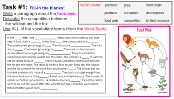 Preview of Describe a Food Web Diagram Analysis Activity Applying Key Vocabulary Terms