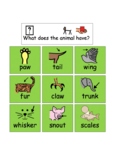 Describing Animals using Colourful Semantics Cloud Words A